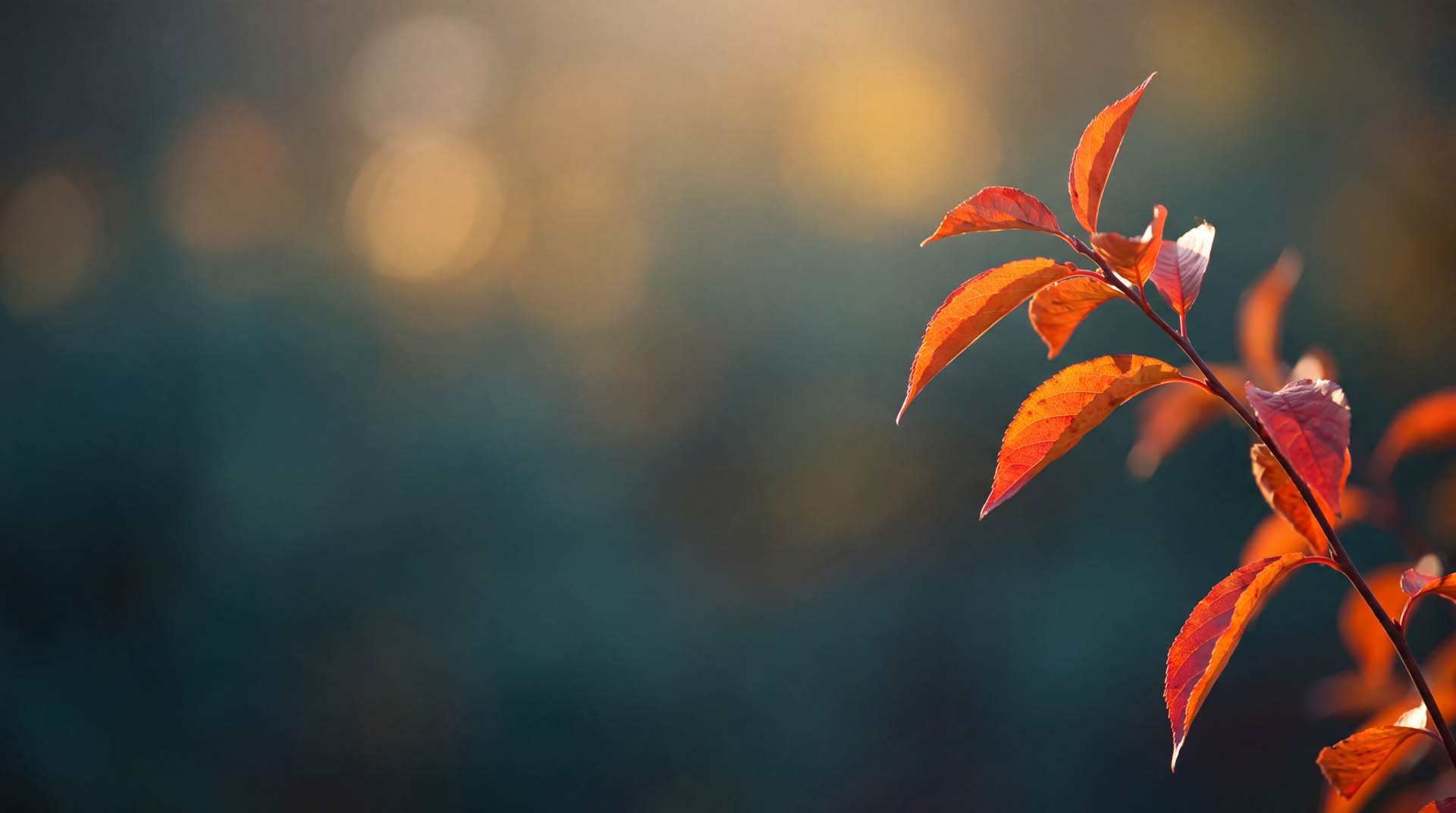 footer background
